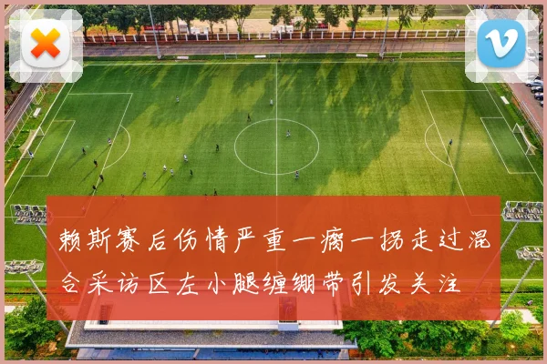 赖斯赛后伤情严重一瘸一拐走过混合采访区左小腿缠绷带引发关注